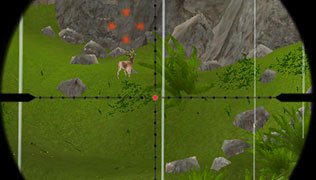 Deer Hunting Jungle Game